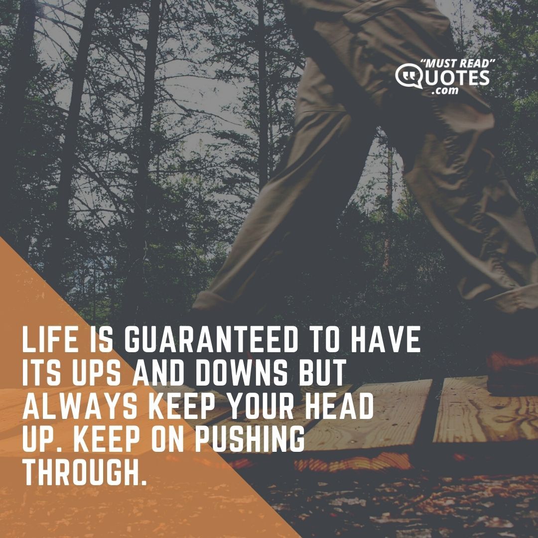 Life is guaranteed to have its ups and downs but always keep your head up. Keep on pushing through.