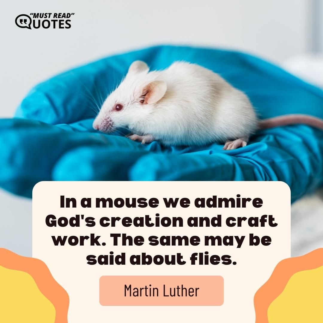 In a mouse we admire God's creation and craft work. The same may be said about flies.