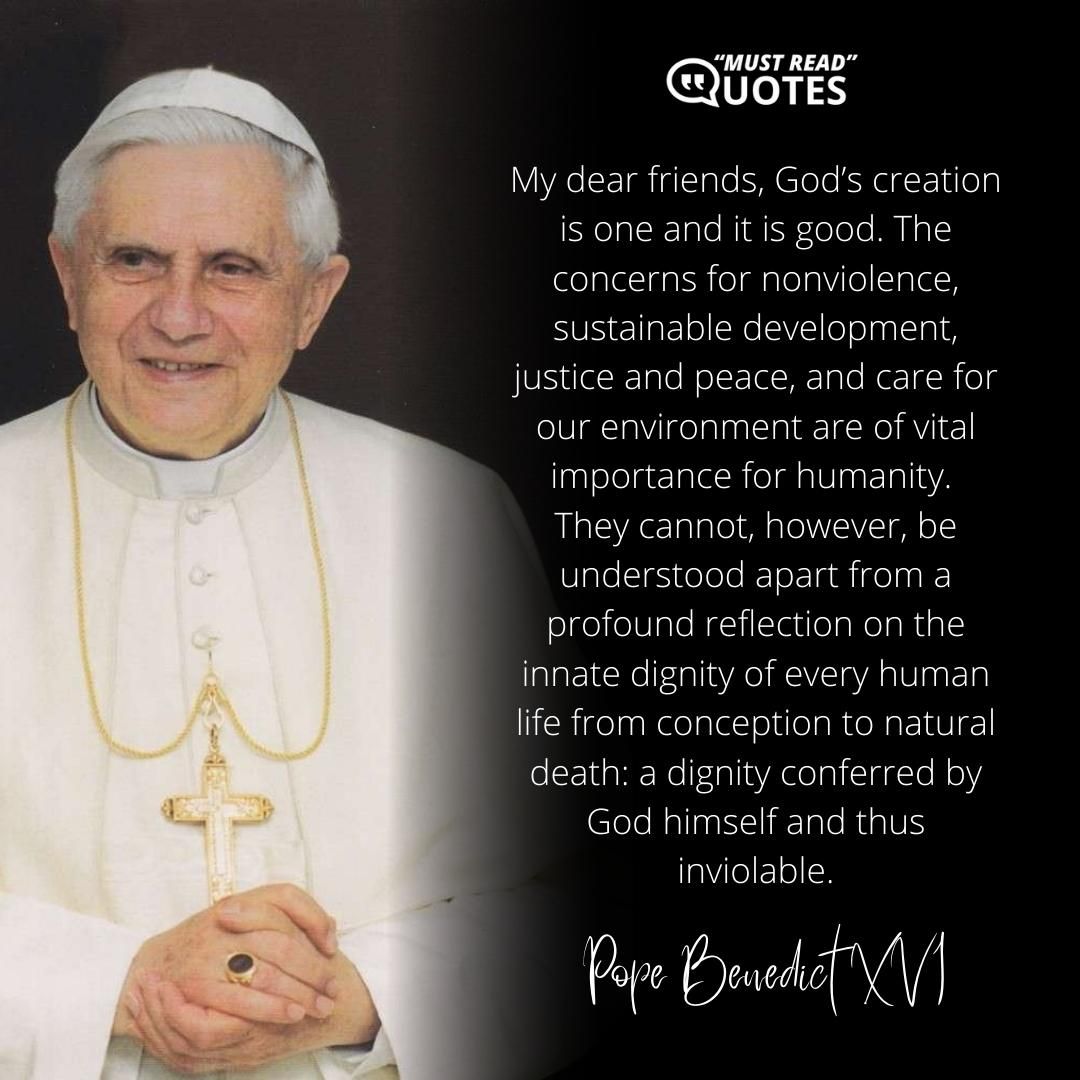 My dear friends, God’s creation is one and it is good. The concerns for nonviolence, sustainable development, justice and peace, and care for our environment are of vital importance for humanity. They cannot, however, be understood apart from a profound reflection on the innate dignity of every human life from conception to natural death: a dignity conferred by God himself and thus inviolable.