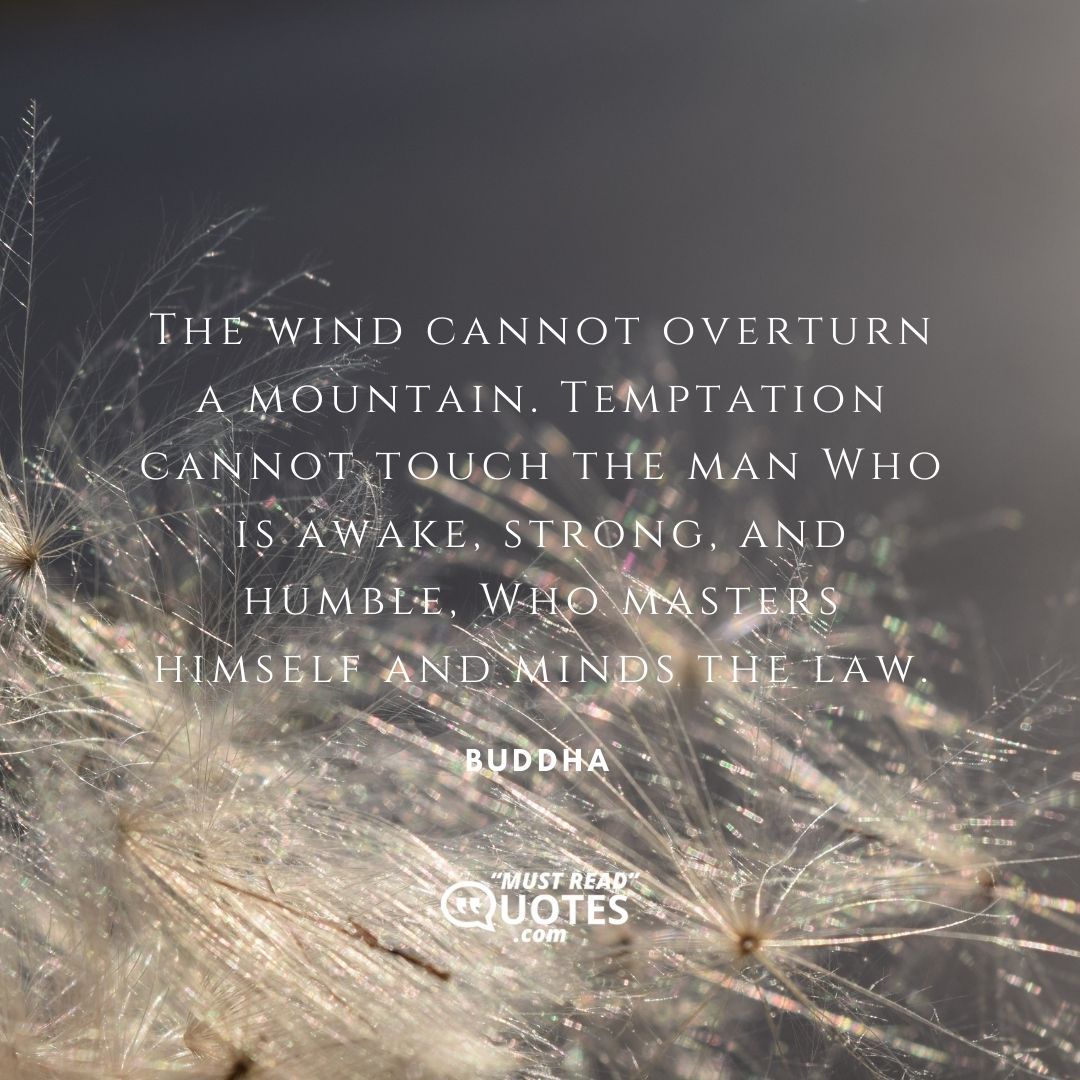 The wind cannot overturn a mountain. Temptation cannot touch the man Who is awake, strong, and humble, Who masters himself and minds the law.