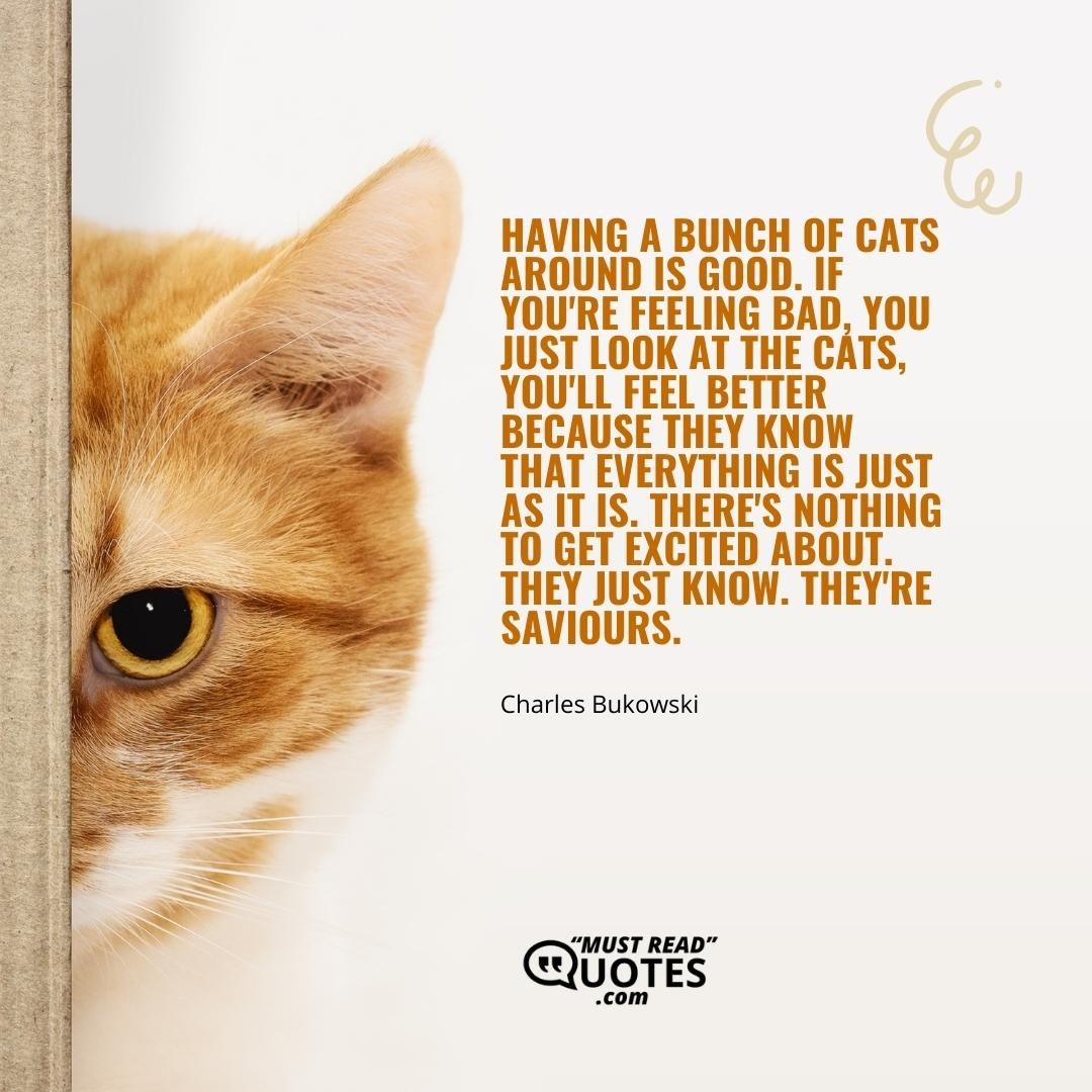 Having a bunch of cats around is good. If you're feeling bad, you just look at the cats, you'll feel better because they know that everything is just as it is. There's nothing to get excited about. They just know. They're saviours.