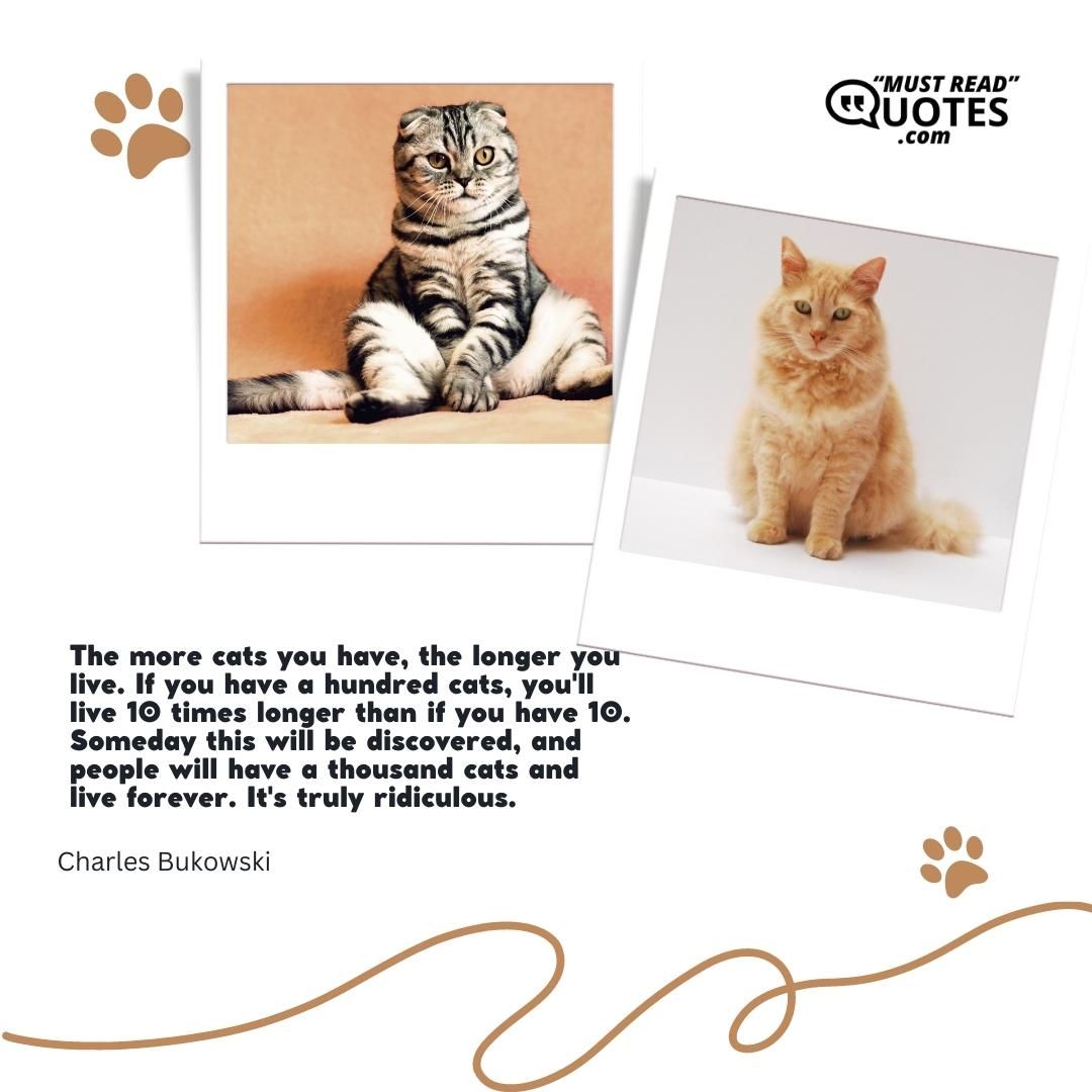 The more cats you have, the longer you live. If you have a hundred cats, you'll live 10 times longer than if you have 10. Someday this will be discovered, and people will have a thousand cats and live forever. It's truly ridiculous.