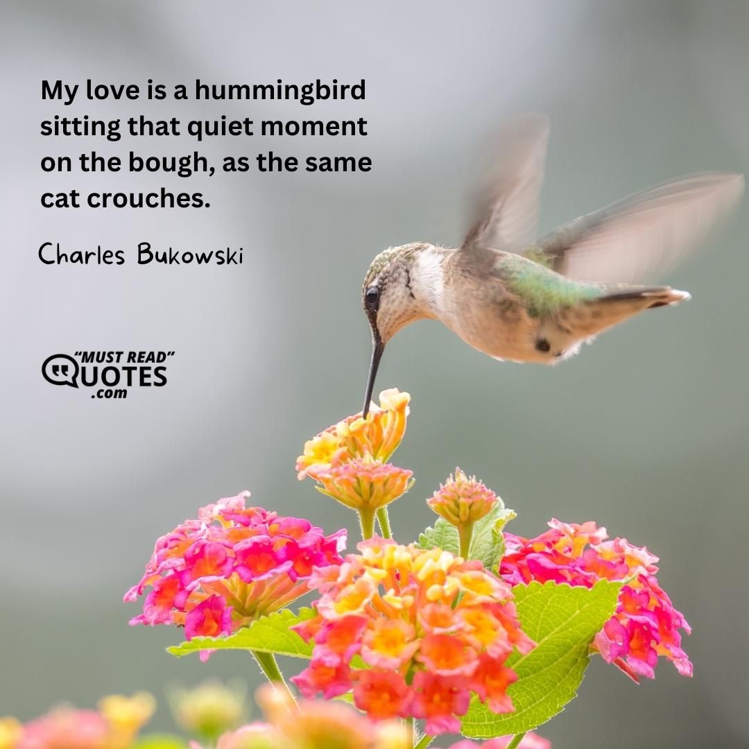 My love is a hummingbird sitting that quiet moment on the bough, as the same cat crouches.