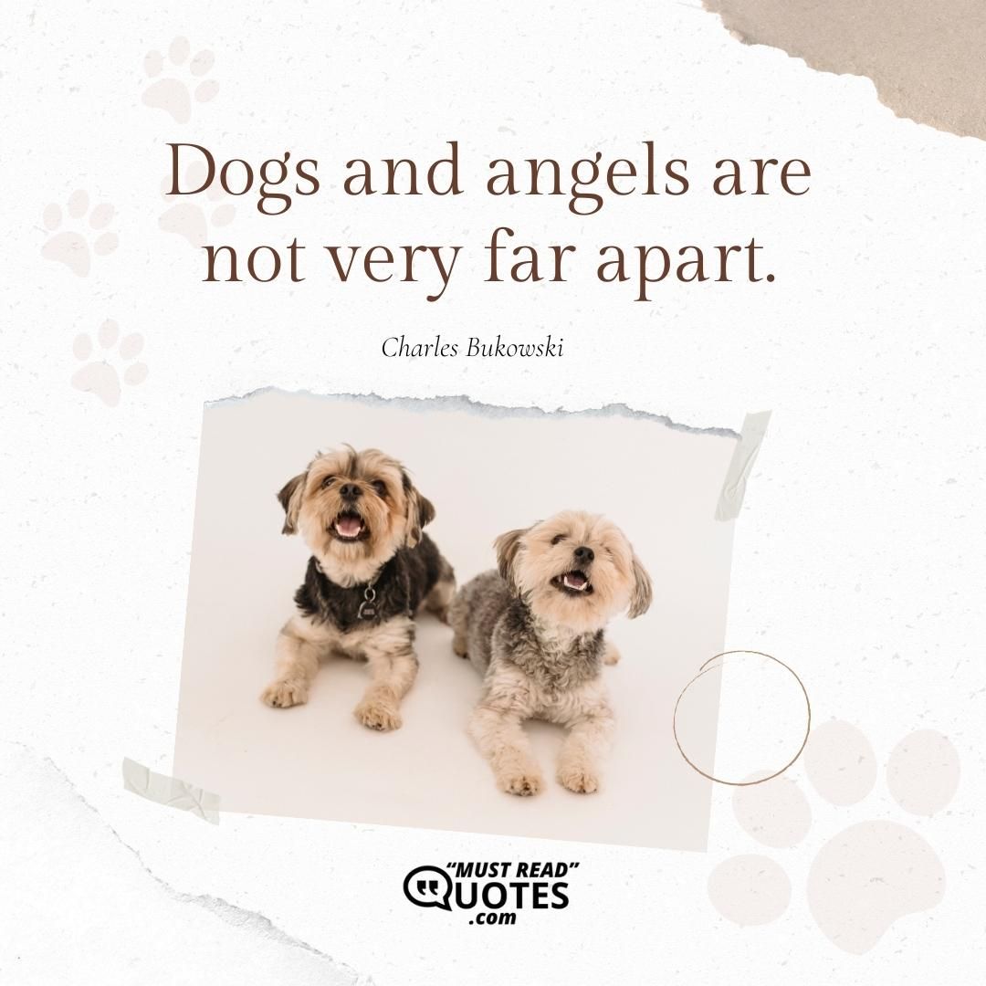 Dogs and angels are not very far apart.