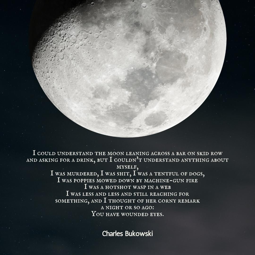 I could understand the moon leaning across a bar on skid row and asking for a drink, but I couldn't understand anything about myself, I was murdered, I was shit, I was a tentful of dogs, I was poppies mowed down by machine-gun fire I was a hotshot wasp in a web I was less and less and still reaching for something, and I thought of her corny remark a night or so ago: You have wounded eyes.