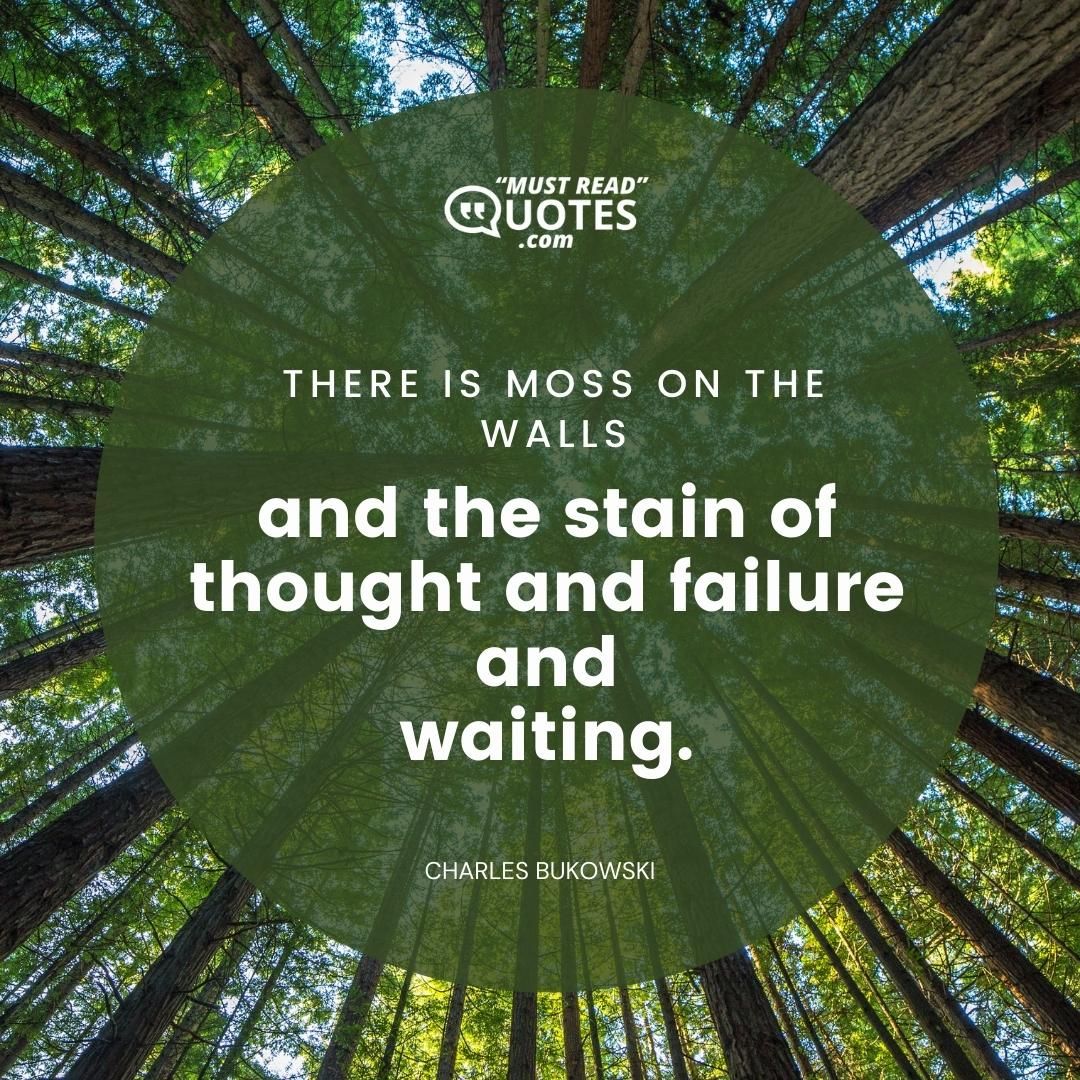 there is moss on the walls and the stain of thought and failure and waiting.