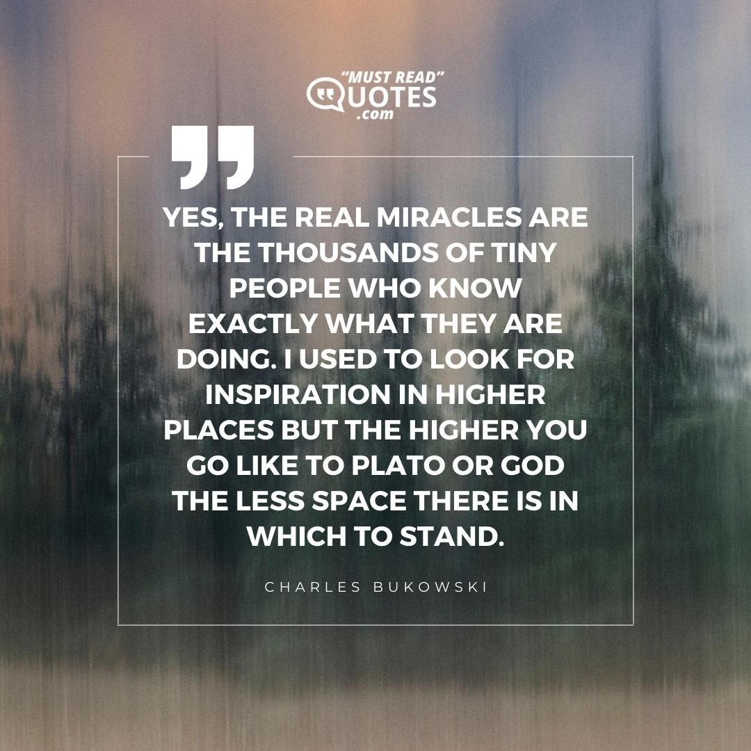 Yes, the real miracles are the thousands of tiny people who know exactly what they are doing. I used to look for inspiration in higher places but the higher you go like to Plato or God the less space there is in which to stand.