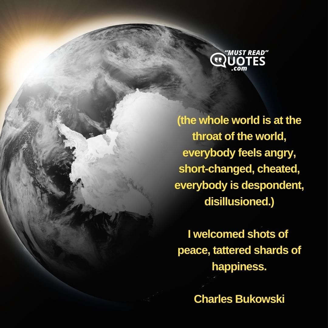 (the whole world is at the throat of the world, everybody feels angry, short-changed, cheated, everybody is despondent, disillusioned.) I welcomed shots of peace, tattered shards of happiness.