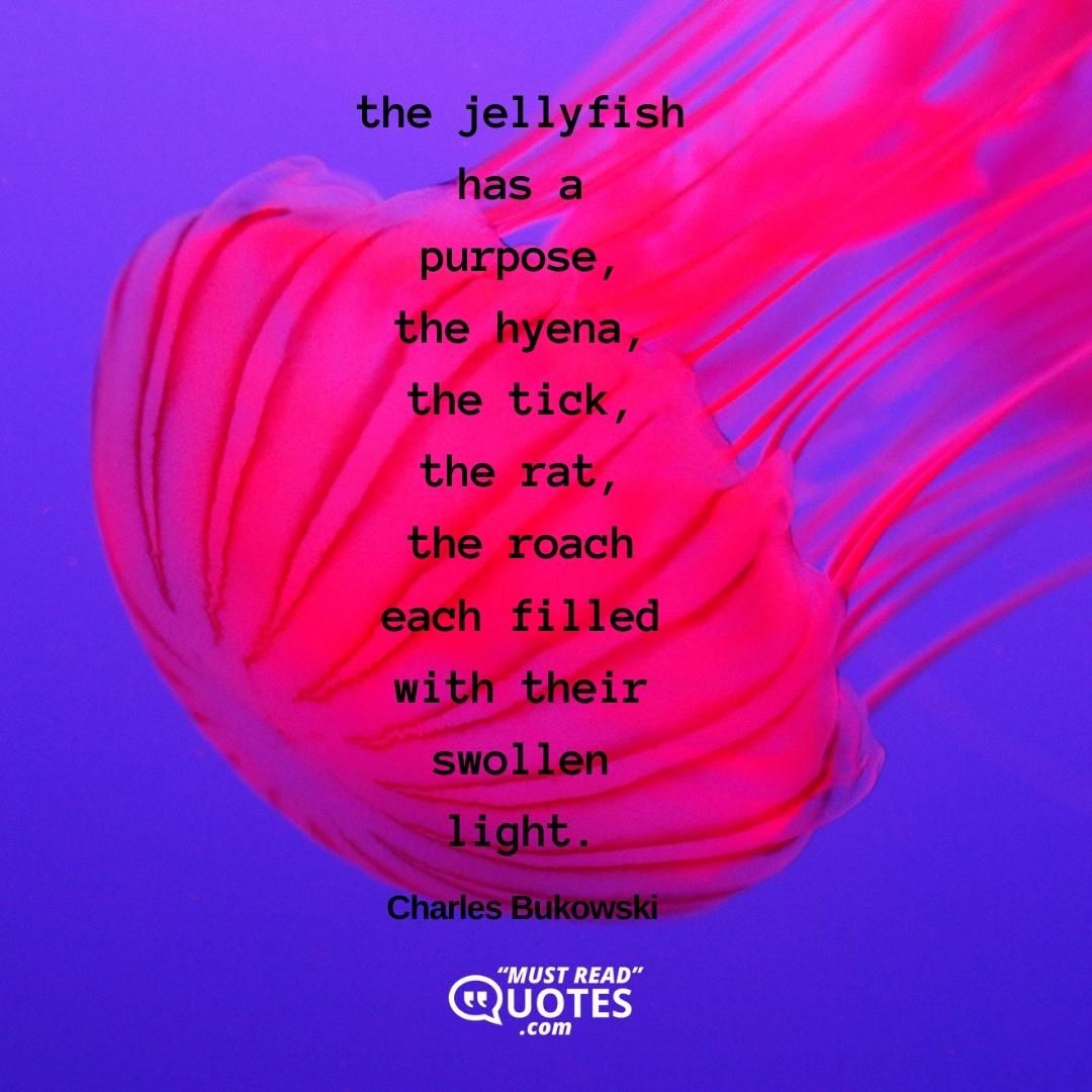 the jellyfish has a purpose, the hyena, the tick, the rat, the roach each filled with their swollen light. my light is out. who did this to me?