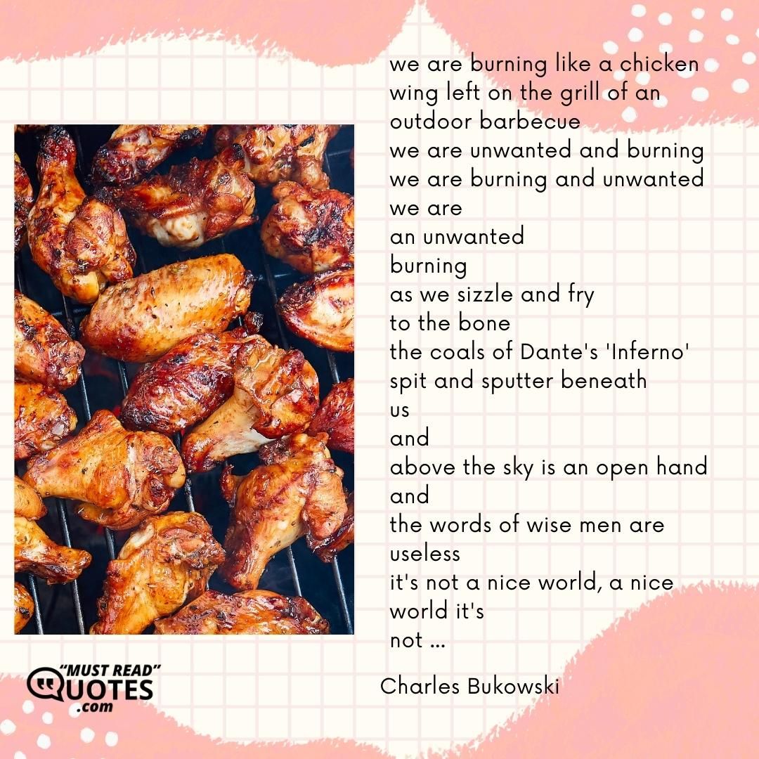 we are burning like a chicken wing left on the grill of an outdoor barbecue we are unwanted and burning we are burning and unwanted we are an unwanted burning as we sizzle and fry to the bone the coals of Dante's 'Inferno' spit and sputter beneath us and above the sky is an open hand and the words of wise men are useless it's not a nice world, a nice world it's not ...