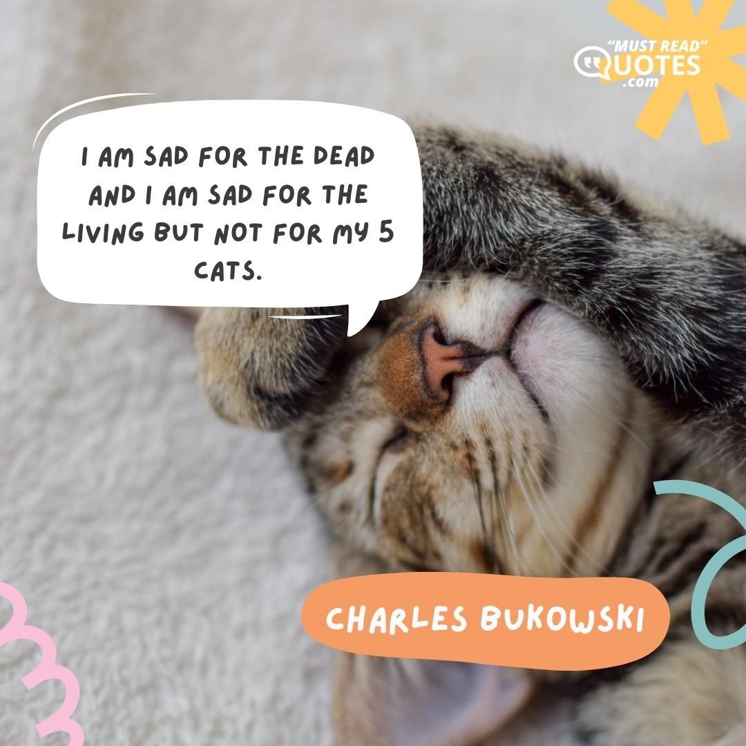 I am sad for the dead and I am sad for the living but not for my 5 cats.