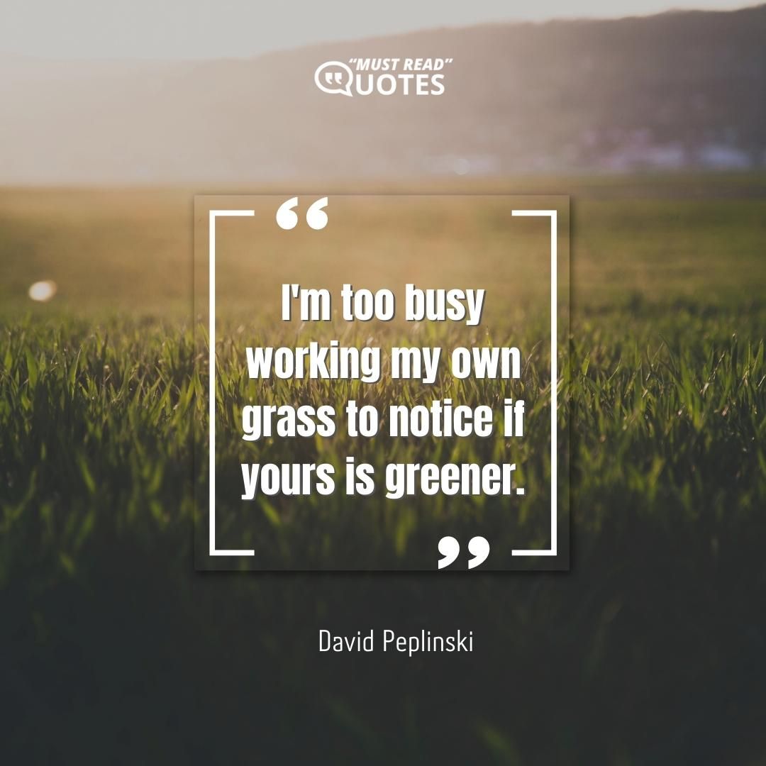 I'm too busy working my own grass to notice if yours is greener.