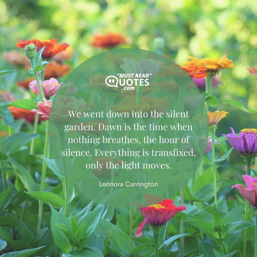 We went down into the silent garden. Dawn is the time when nothing breathes, the hour of silence. Everything is transfixed, only the light moves.