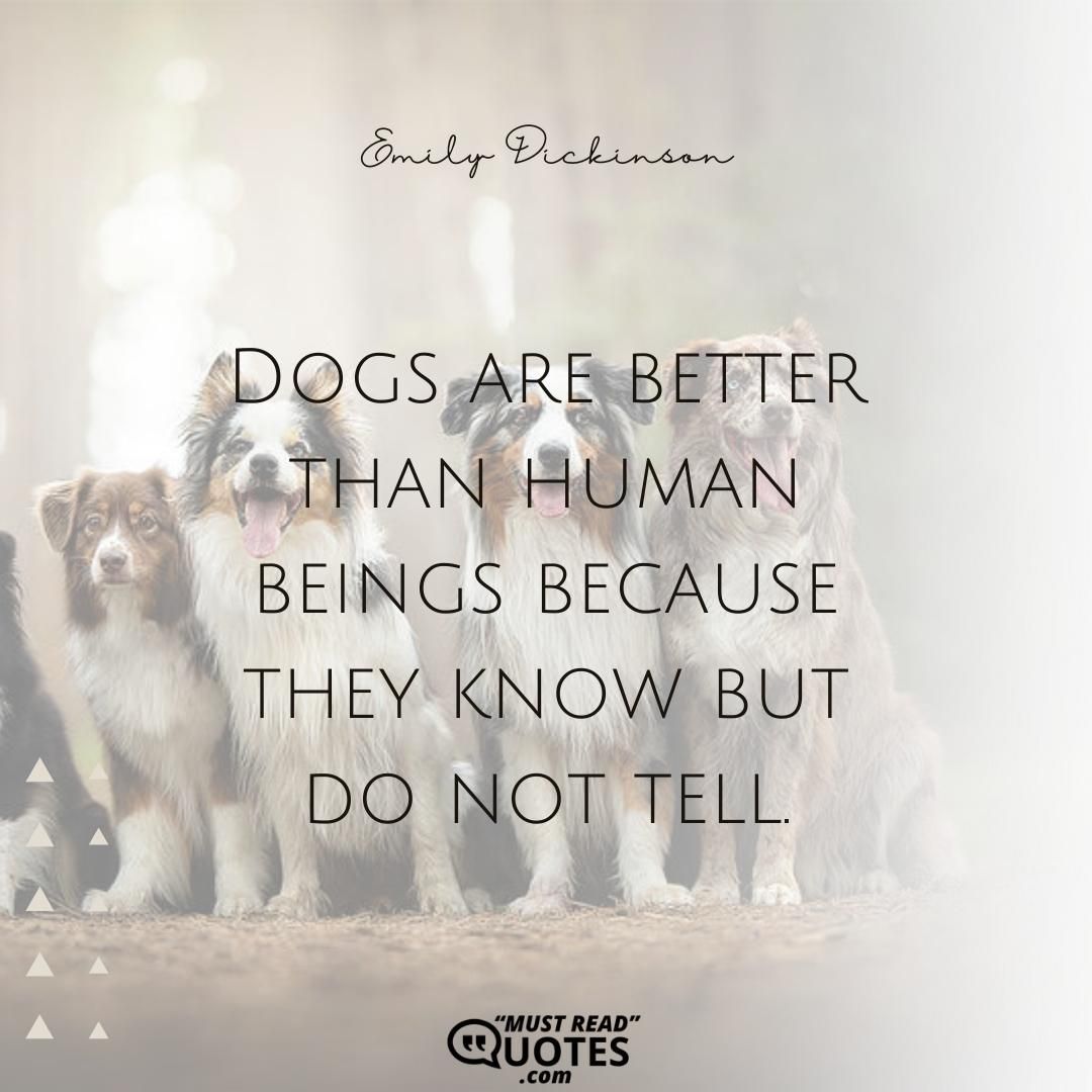 Dogs are better than human beings because they know but do not tell.