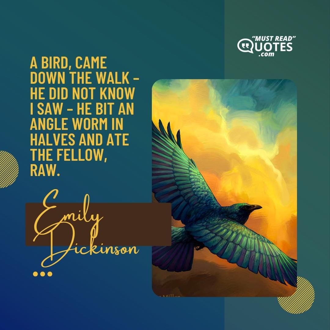 A Bird, came down the Walk – He did not know I saw – He bit an Angle Worm in halves And ate the fellow, raw.
