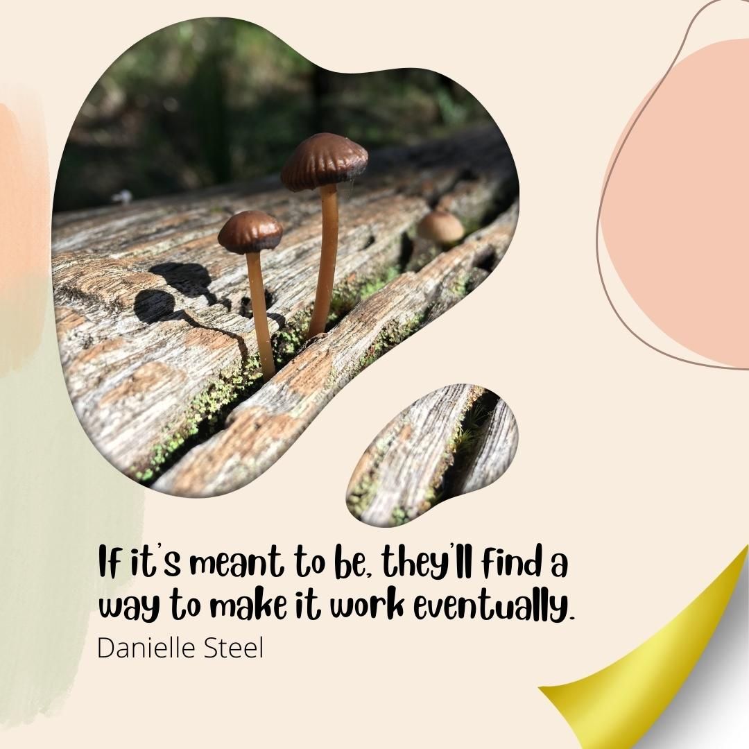 If it's meant to be, they'll find a way to make it work eventually.
