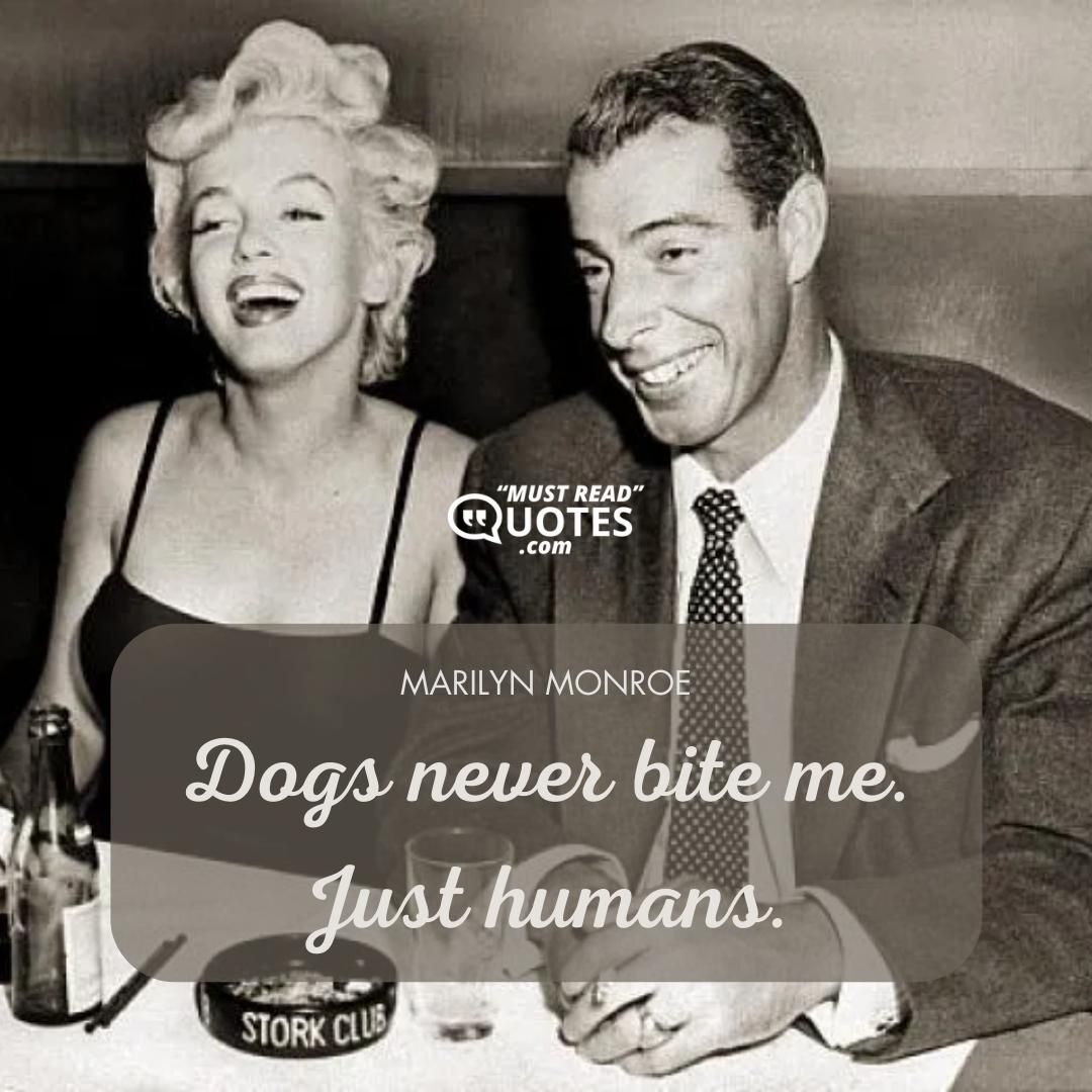 Dogs never bite me. Just humans.
