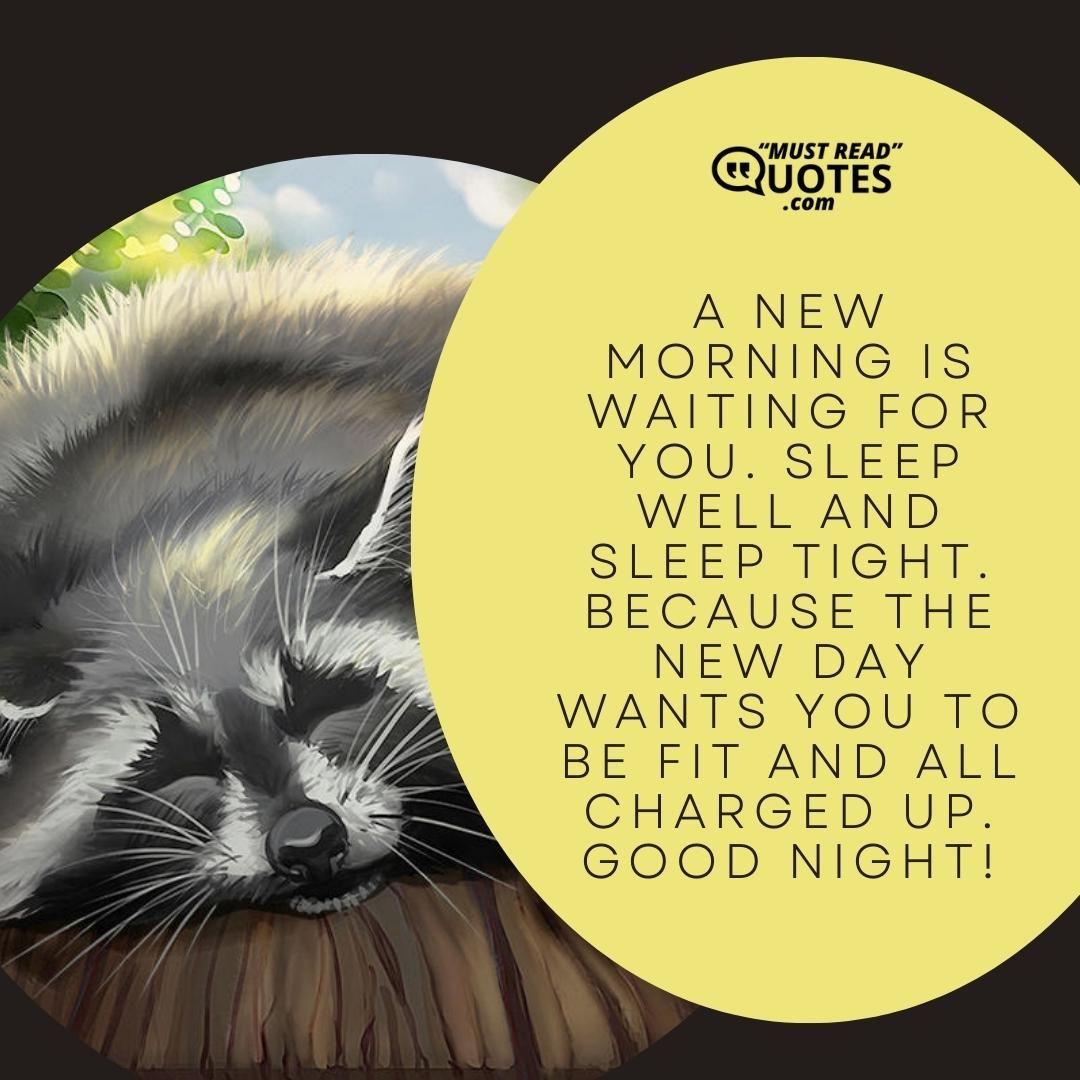 A new morning is waiting for you. Sleep well and sleep tight. Because the new day wants you to be fit and all charged up. Good night!