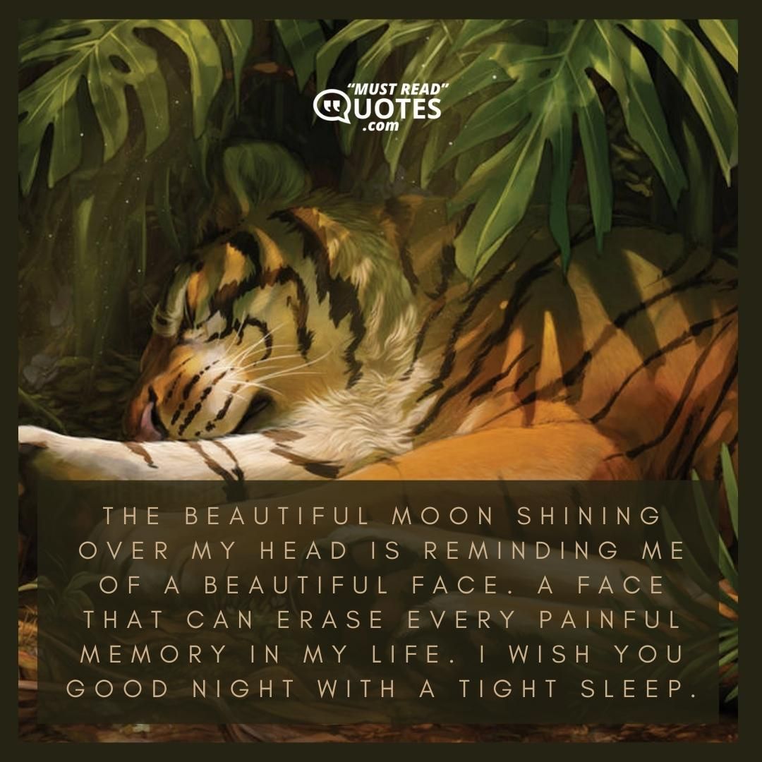 The beautiful moon shining over my head is reminding me of a beautiful face. A face that can erase every painful memory in my life. I wish you good night with a tight sleep.