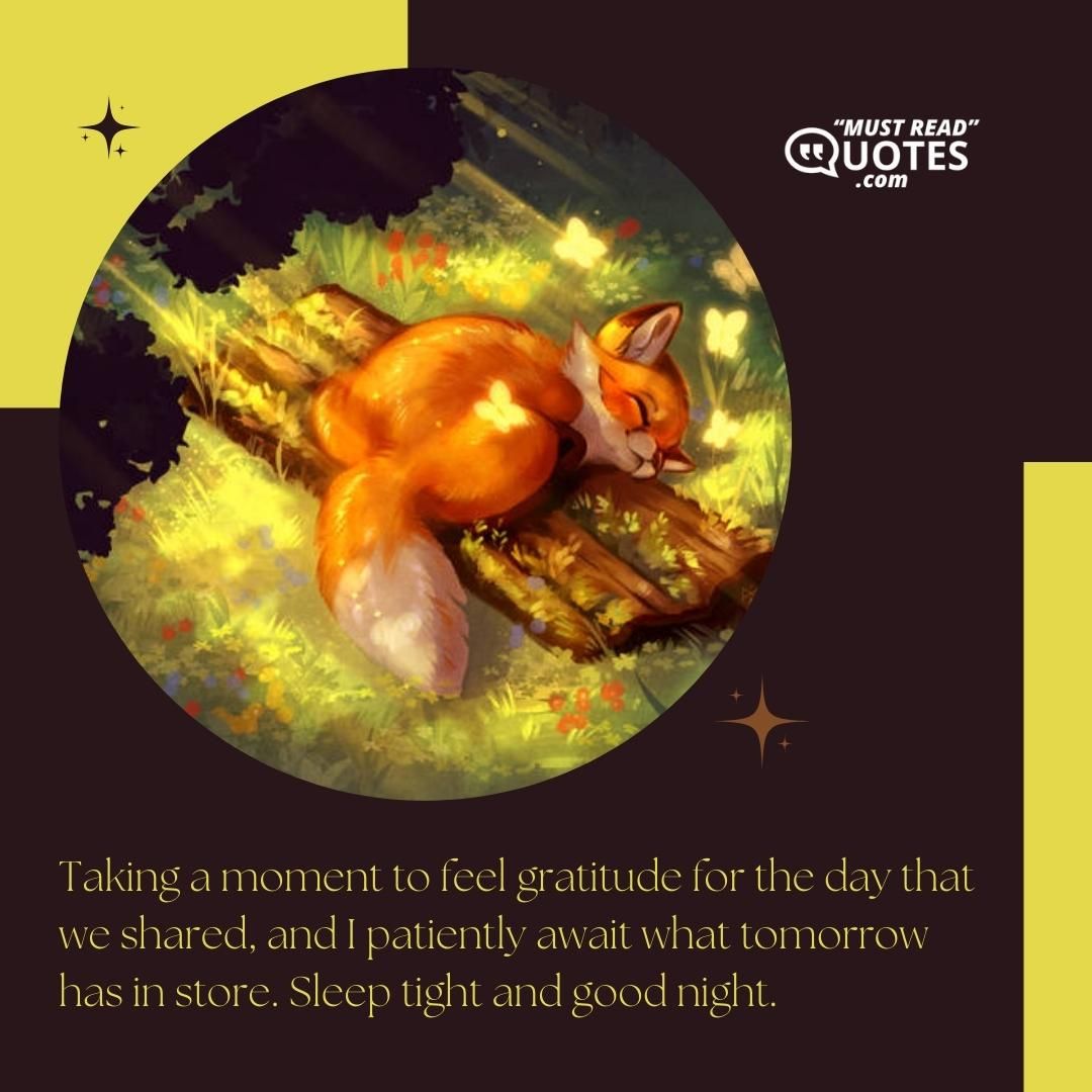 Taking a moment to feel gratitude for the day that we shared, and I patiently await what tomorrow has in store. Sleep tight and good night.
