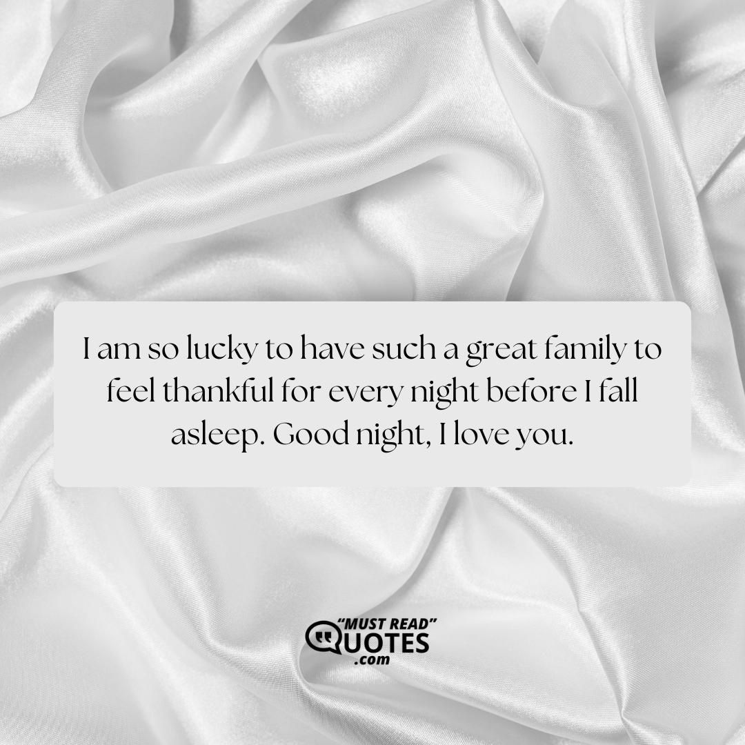 I am so lucky to have such a great family to feel thankful for every night before I fall asleep. Good night, I love you.