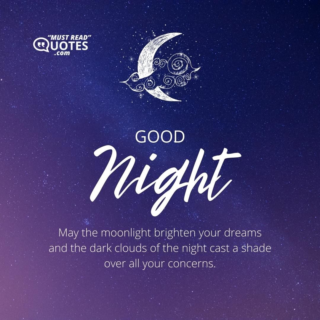 Good night. May the moonlight brighten your dreams and the dark clouds of the night cast a shade over all your concerns.