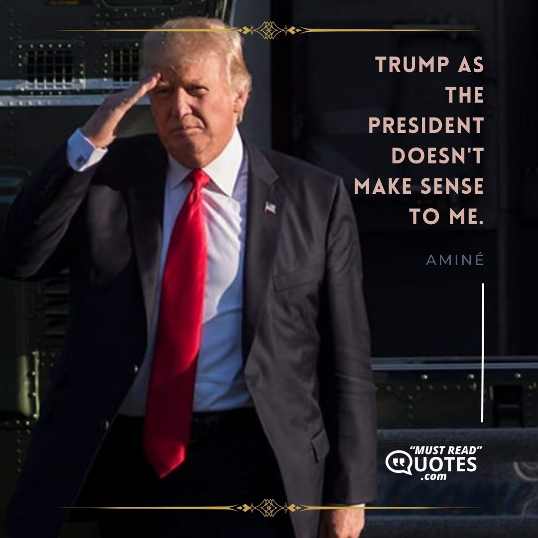 Trump as the president doesn't make sense to me.