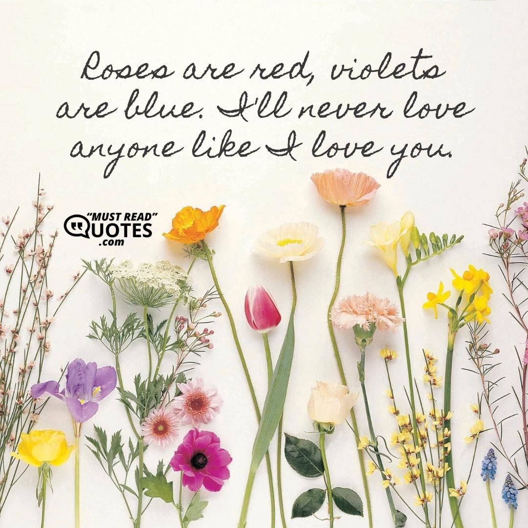 Roses are red, violets are blue. I'll never love anyone like I love you.