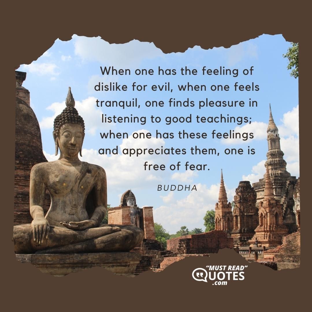 When one has the feeling of dislike for evil, when one feels tranquil, one finds pleasure in listening to good teachings; when one has these feelings and appreciates them, one is free of fear.