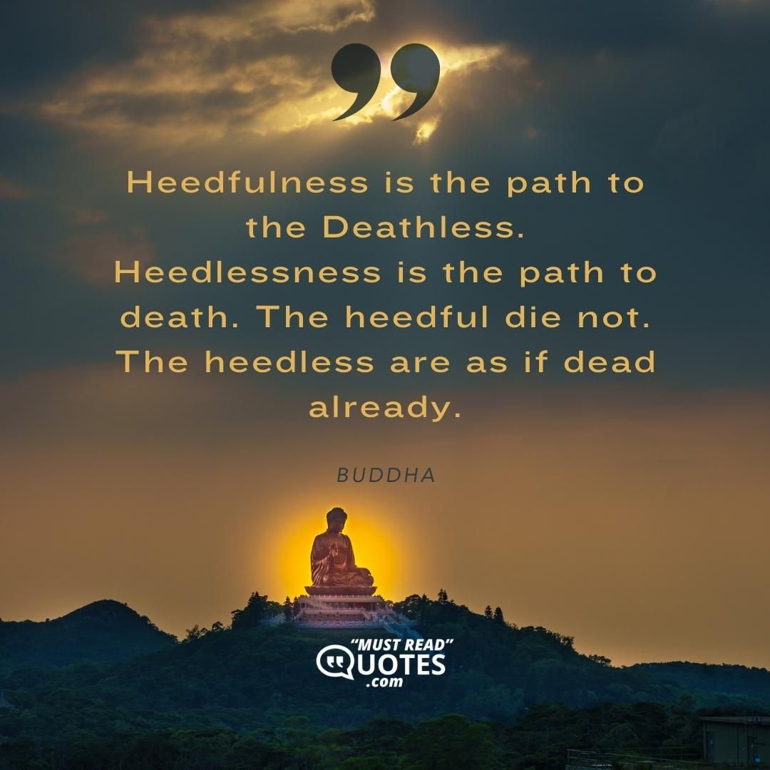 Heedfulness is the path to the Deathless. Heedlessness is the path to death. The heedful die not. The heedless are as if dead already.