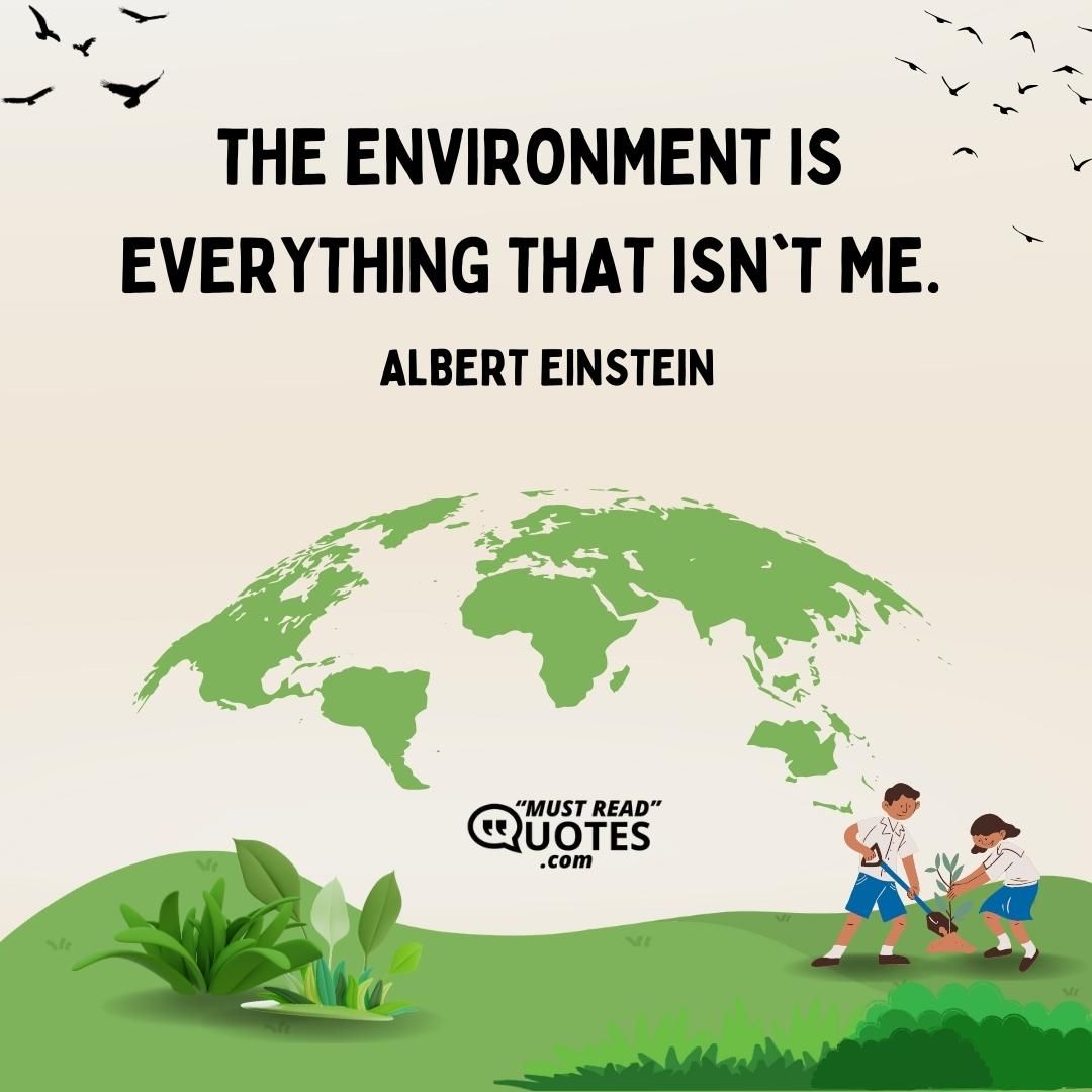 The environment is everything that isn't me.