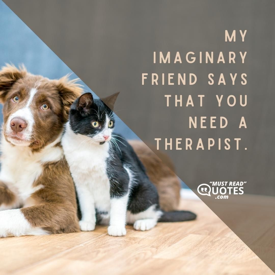 My imaginary friend says that you need a therapist.