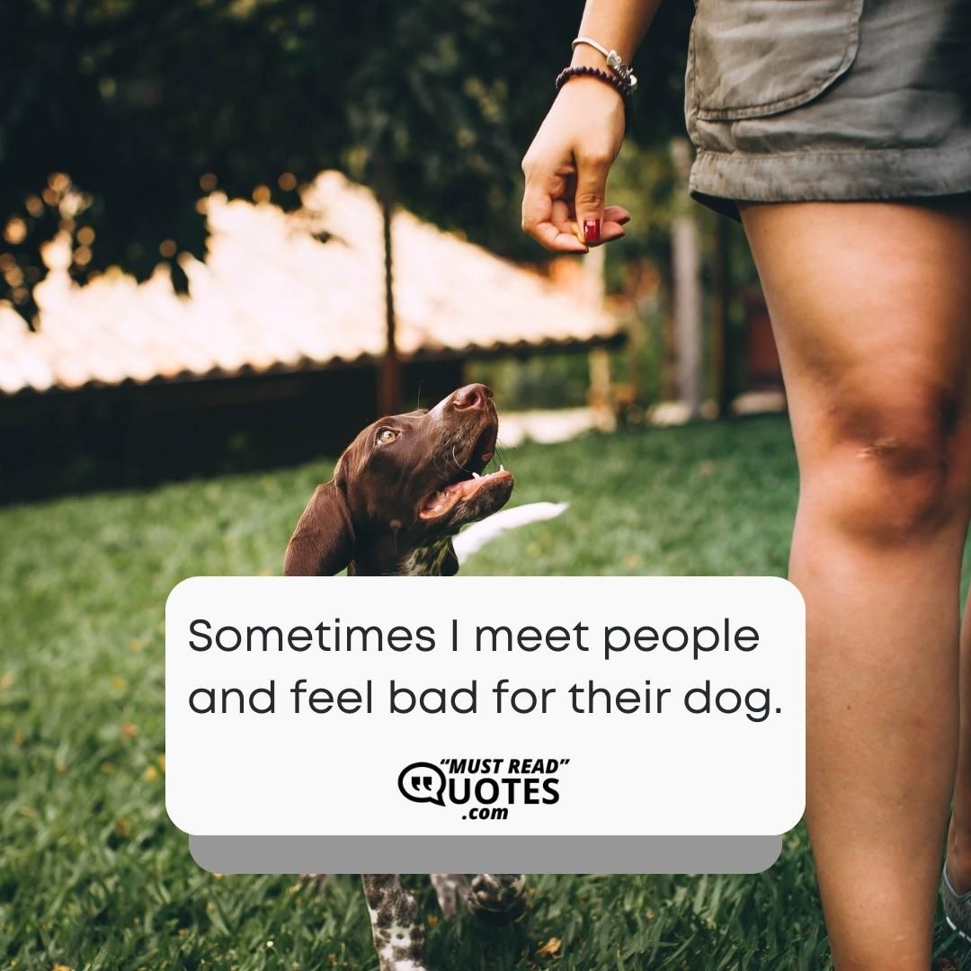 Sometimes I meet people and feel bad for their dog.