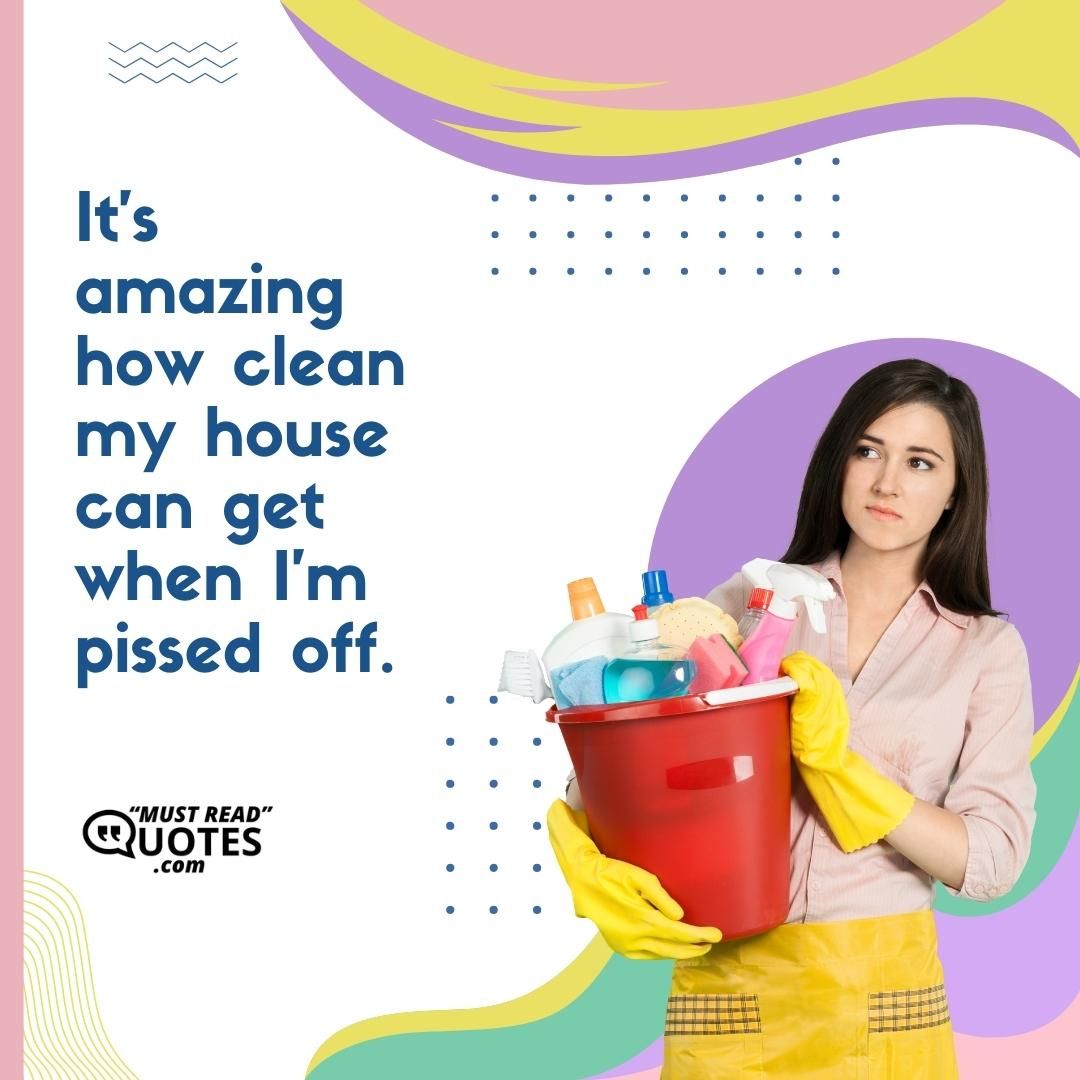 It's amazing how clean my house can get when I'm pissed off.