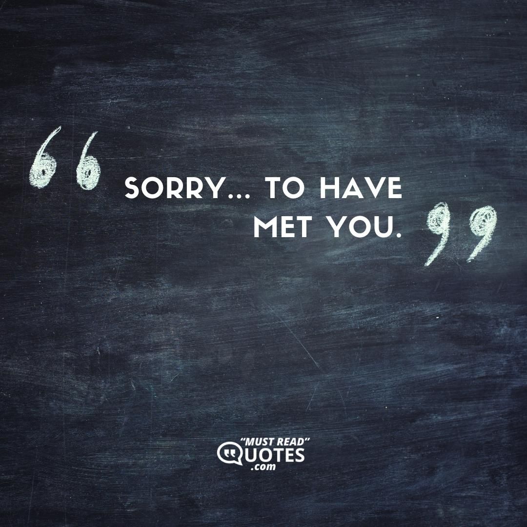 Sorry... to have met you.