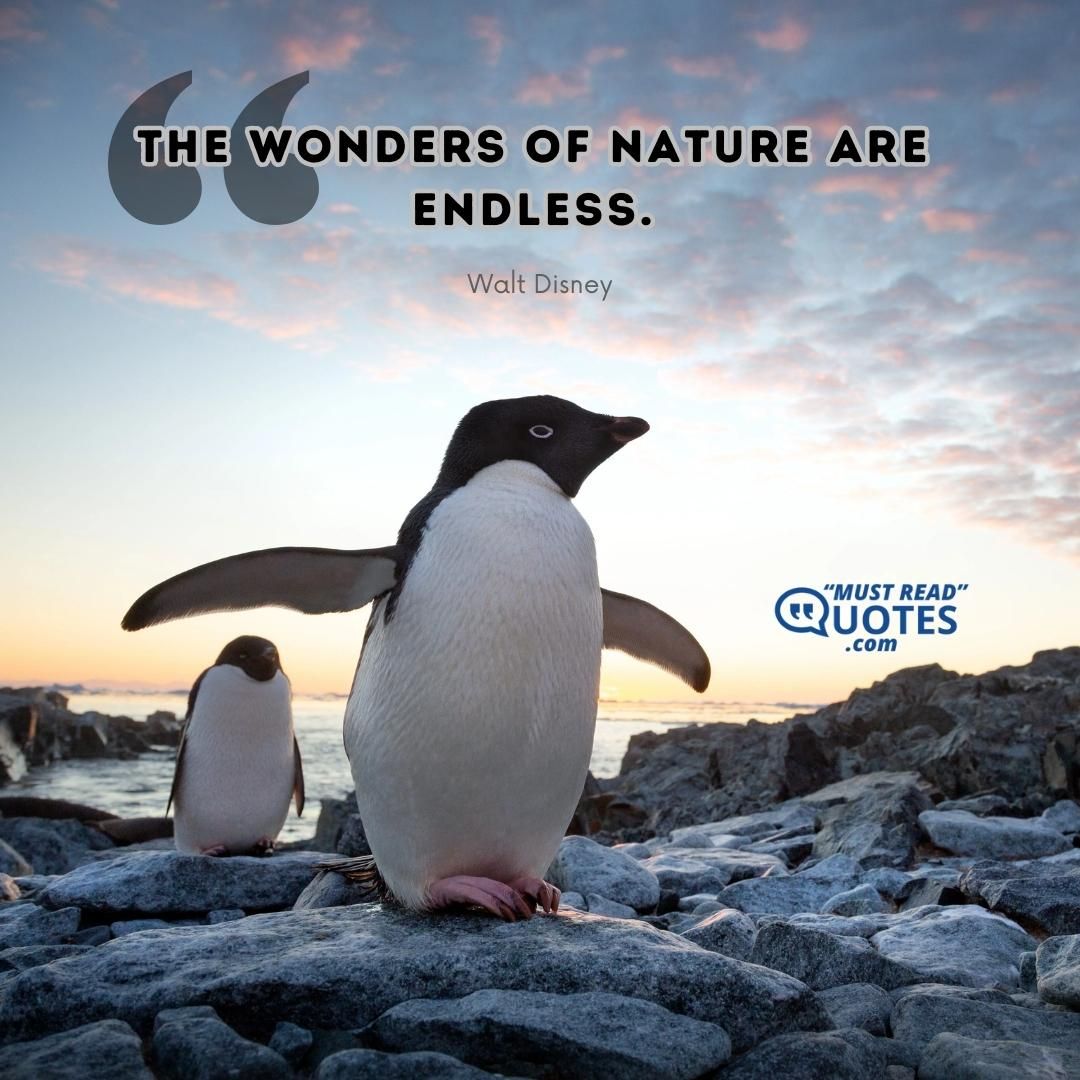 The wonders of nature are endless.