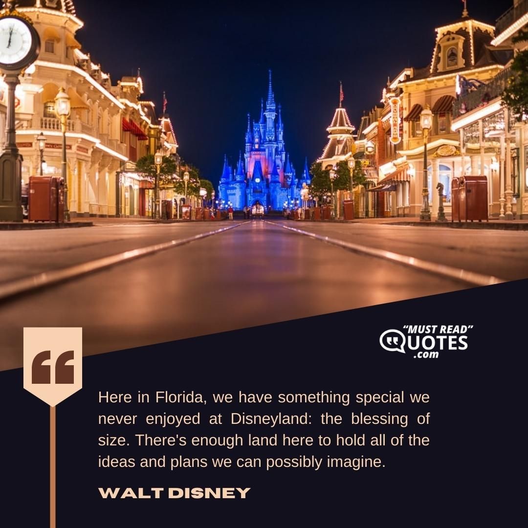 Here in Florida, we have something special we never enjoyed at Disneyland: the blessing of size. There's enough land here to hold all of the ideas and plans we can possibly imagine.
