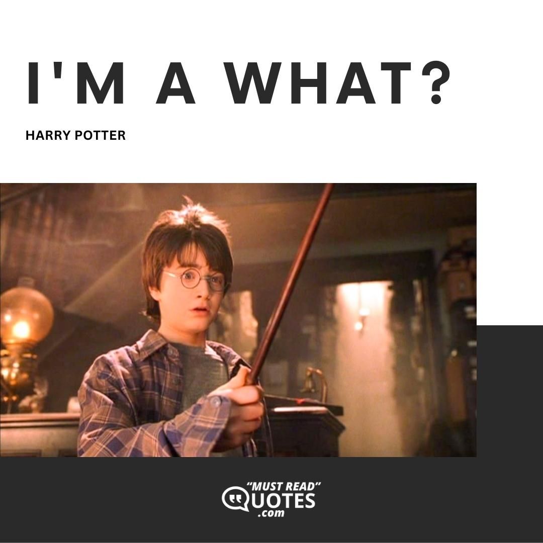I'm a what?