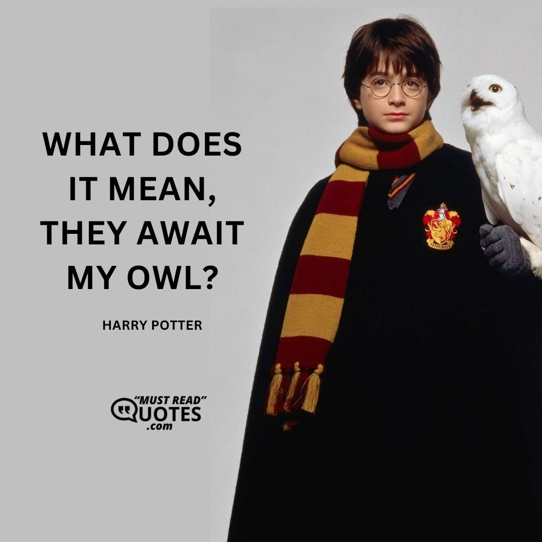 What does it mean, they await my owl?