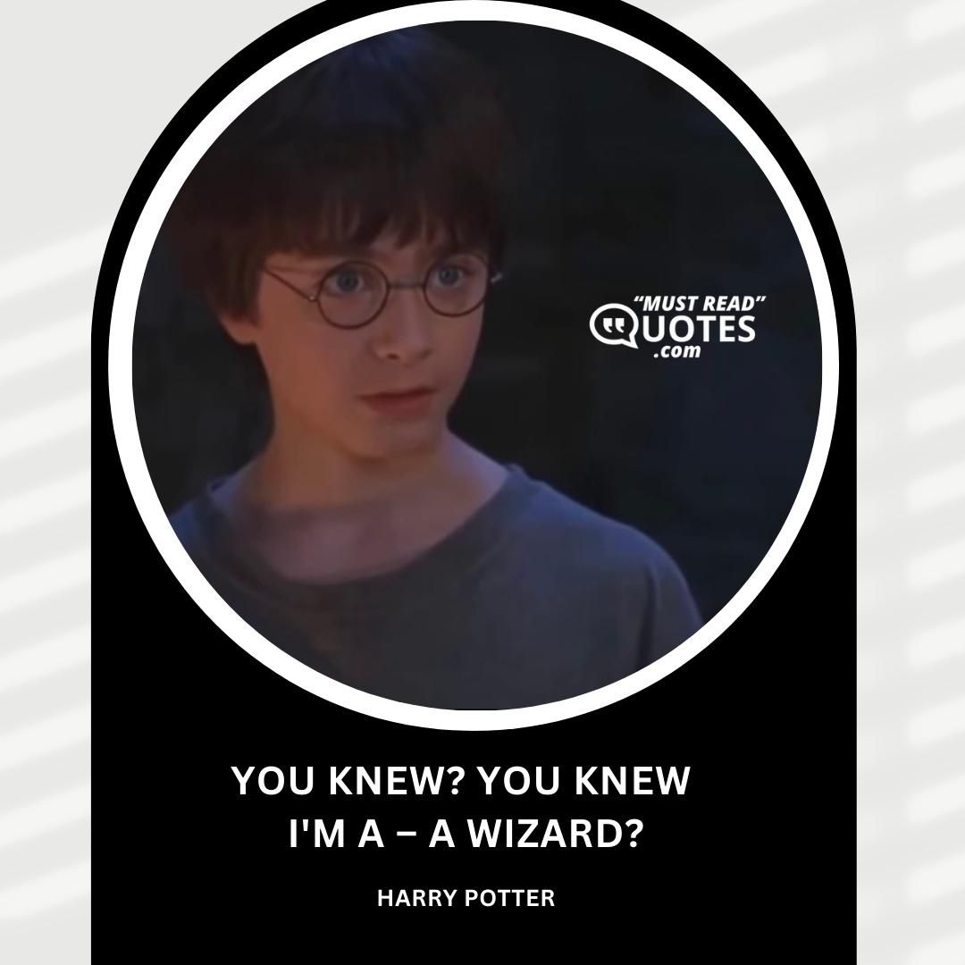 You knew? You knew I'm a – a wizard?