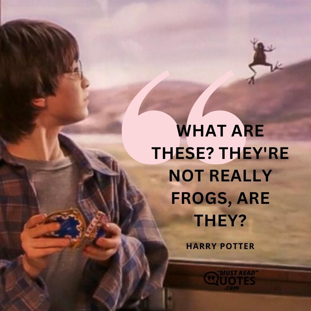 What are these? They're not really frogs, are they?