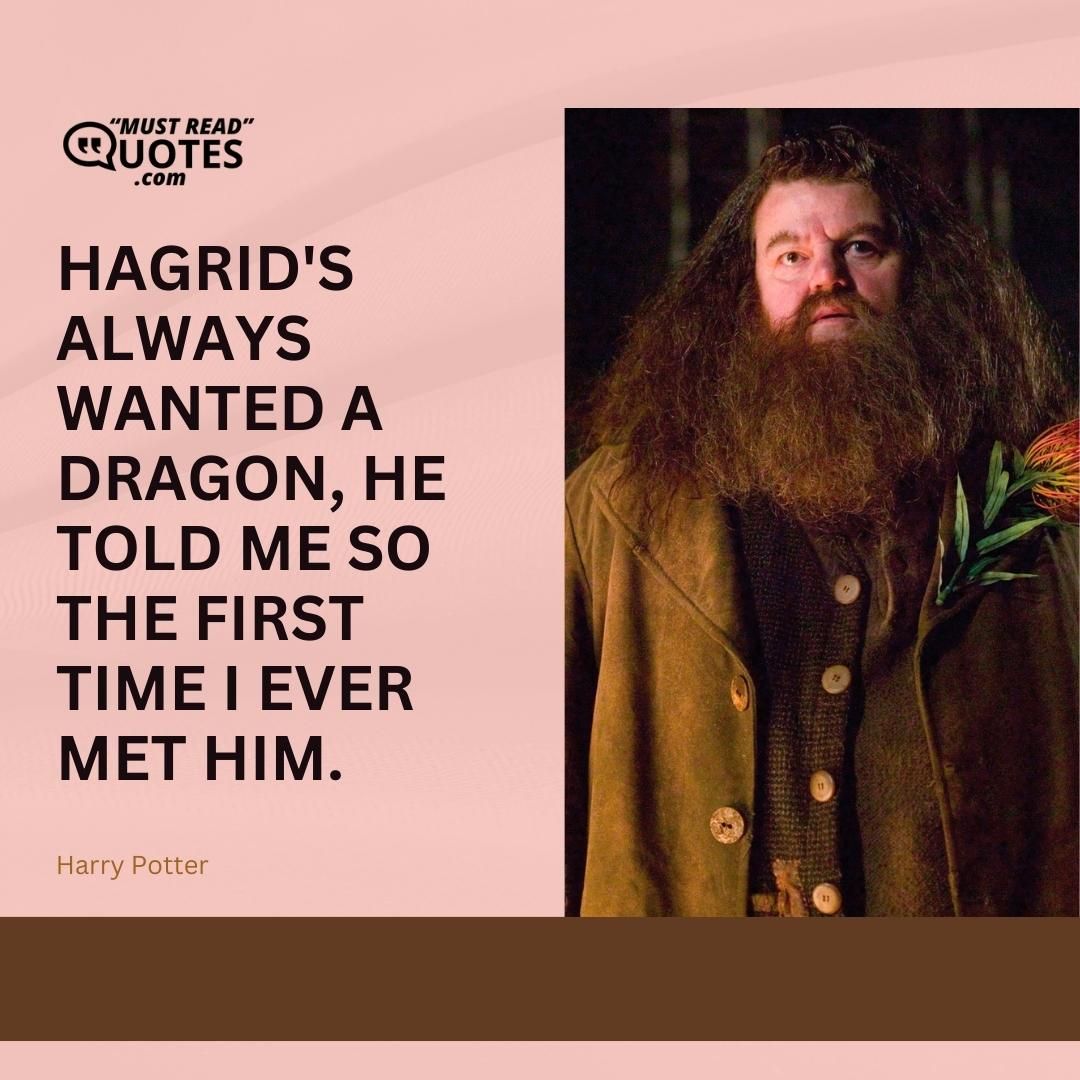 Hagrid's always wanted a dragon, he told me so the first time I ever met him.