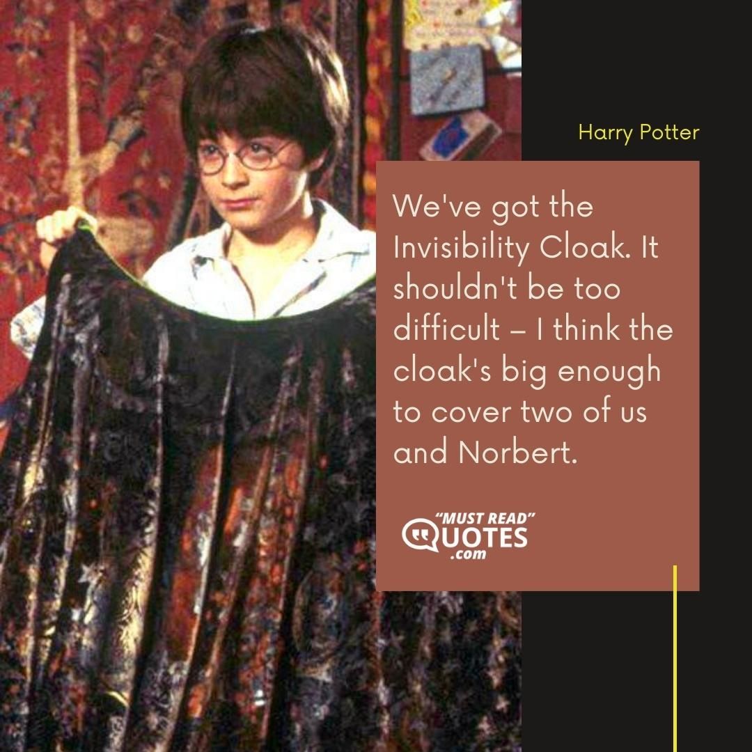 We've got the Invisibility Cloak. It shouldn't be too difficult – I think the cloak's big enough to cover two of us and Norbert.