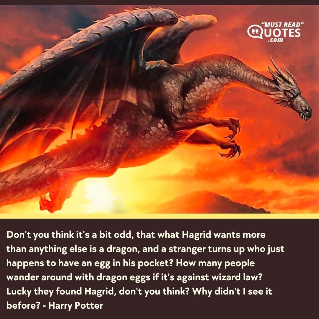 Don't you think it's a bit odd, that what Hagrid wants more than anything else is a dragon, and a stranger turns up who just happens to have an egg in his pocket? How many people wander around with dragon eggs if it's against wizard law? Lucky they found Hagrid, don't you think? Why didn't I see it before?