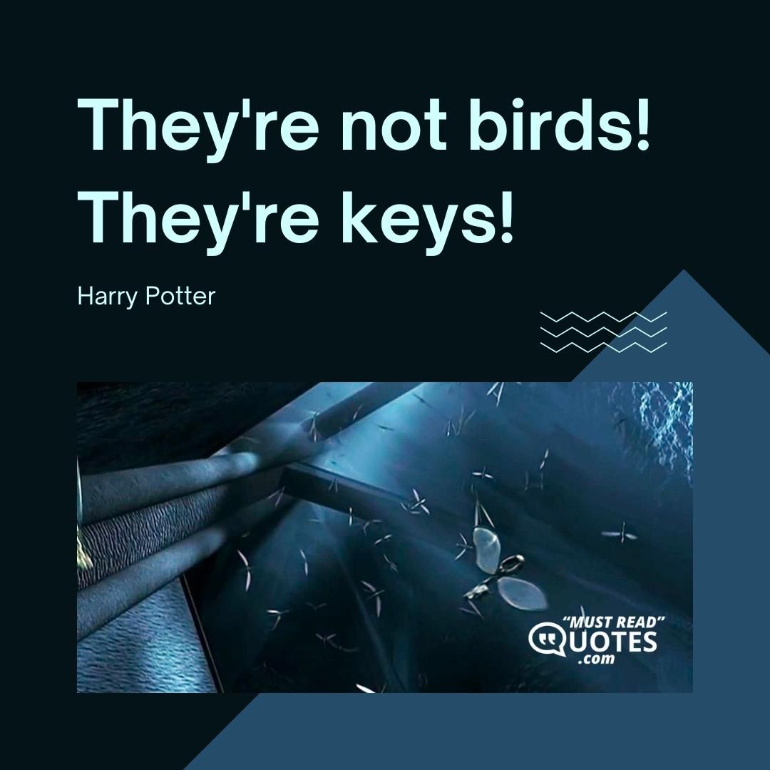 They're not birds! They're keys!