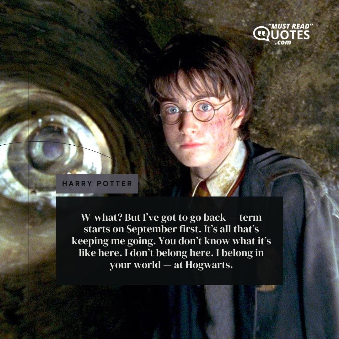 W-what? But I’ve got to go back — term starts on September first. It’s all that’s keeping me going. You don’t know what it’s like here. I don’t belong here. I belong in your world — at Hogwarts.