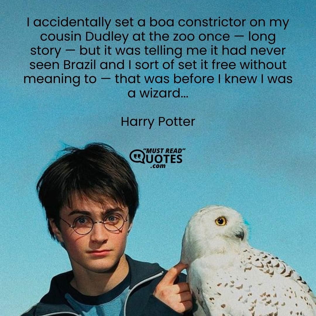 I accidentally set a boa constrictor on my cousin Dudley at the zoo once — long story — but it was telling me it had never seen Brazil and I sort of set it free without meaning to — that was before I knew I was a wizard...