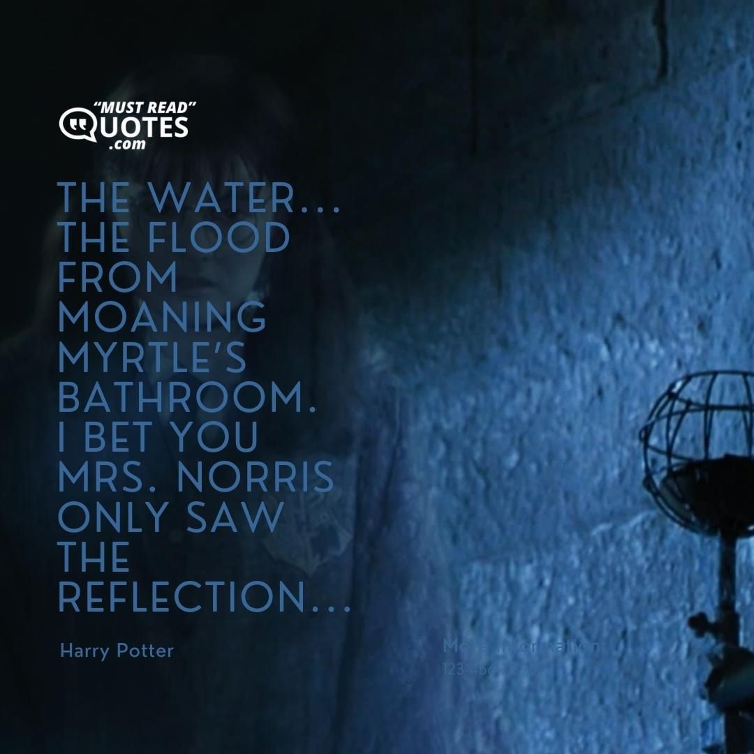 The water... The flood from Moaning Myrtle’s bathroom. I bet you Mrs. Norris only saw the reflection...
