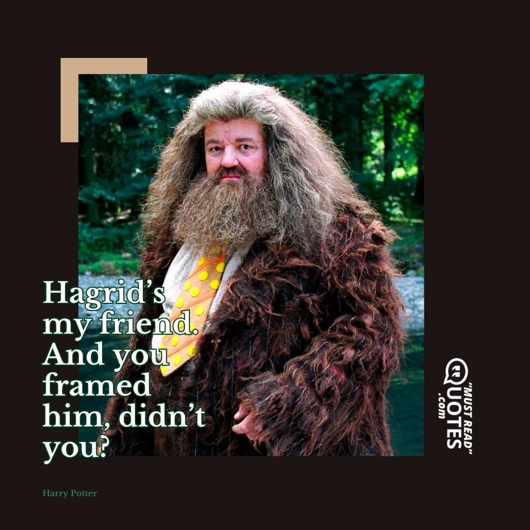 Hagrid’s my friend. And you framed him, didn’t you?