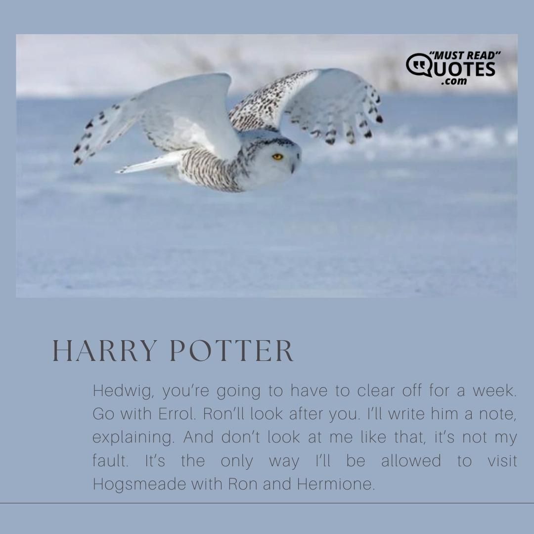 Hedwig, you’re going to have to clear off for a week. Go with Errol. Ron’ll look after you. I’ll write him a note, explaining. And don’t look at me like that, it’s not my fault. It’s the only way I’ll be allowed to visit Hogsmeade with Ron and Hermione.
